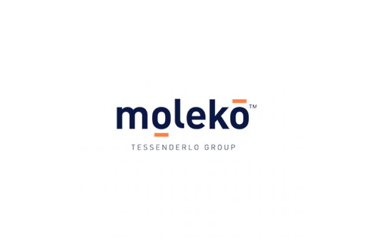 moleko logo